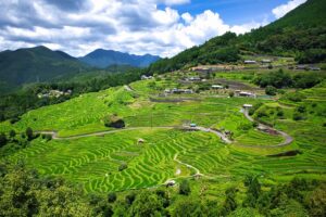 三重県の丸山千枚田の景色は団体旅行でも写真映えのするスポットとして注目されます。