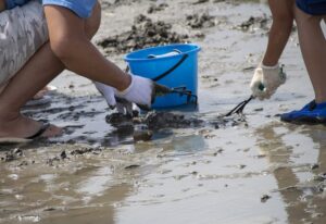三重県の御殿場浜では潮干狩りができます。親子での参加の団体旅行でも盛り上がります。