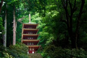 奈良県の室生寺は、三重県の伊賀市から近く、団体旅行・社員旅行ではセットでコースにすることもあります。