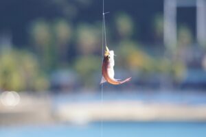 三重県で魚釣り体験ができる施設があります。団体旅行・社員旅行で漁獲量を競ってみては？