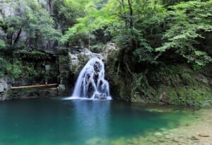 赤目四十八滝の千手滝。入り口から徒歩約20分。団体旅行で往復するにはちょうど良い距離です。