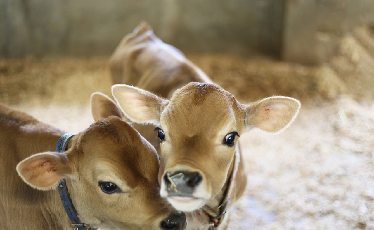 三重県・伊賀！モクモク手づくりファームを遊び尽そう！貸切バスの日帰り社員旅行・団体旅行モデルコース