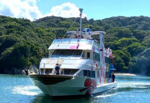 三重県の伊勢湾めぐりとイルカ島のクルーズでは、イルカ島でイルカを見ることができます。団体旅行でも人気のアクティビティですよ。