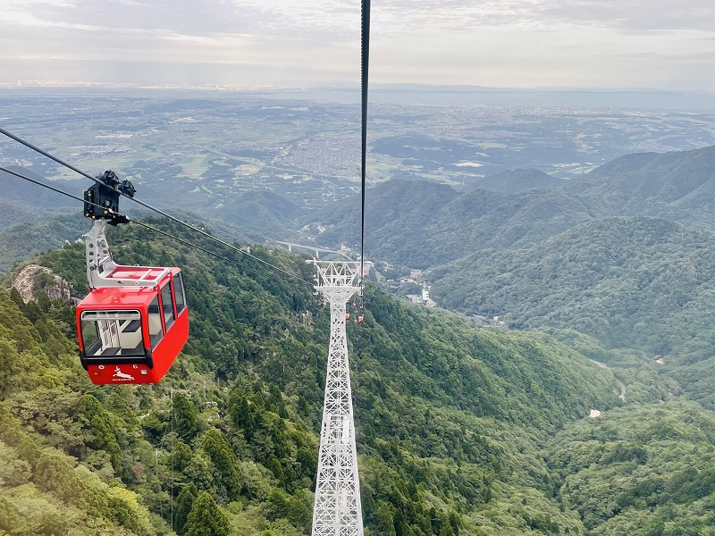 三重県・湯の山温泉&なばなの里!貸切バスで絶景と名湯を目指す日帰り団体旅行モデルコース