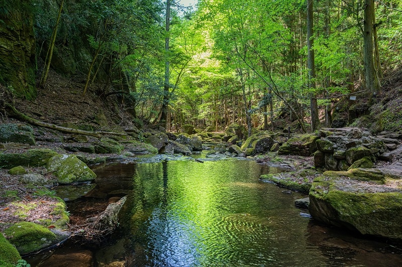 赤目四十八滝と室生寺を巡る!貸切バスで三重県名張&ちょっとだけ奈良の日帰り団体旅行モデルコース