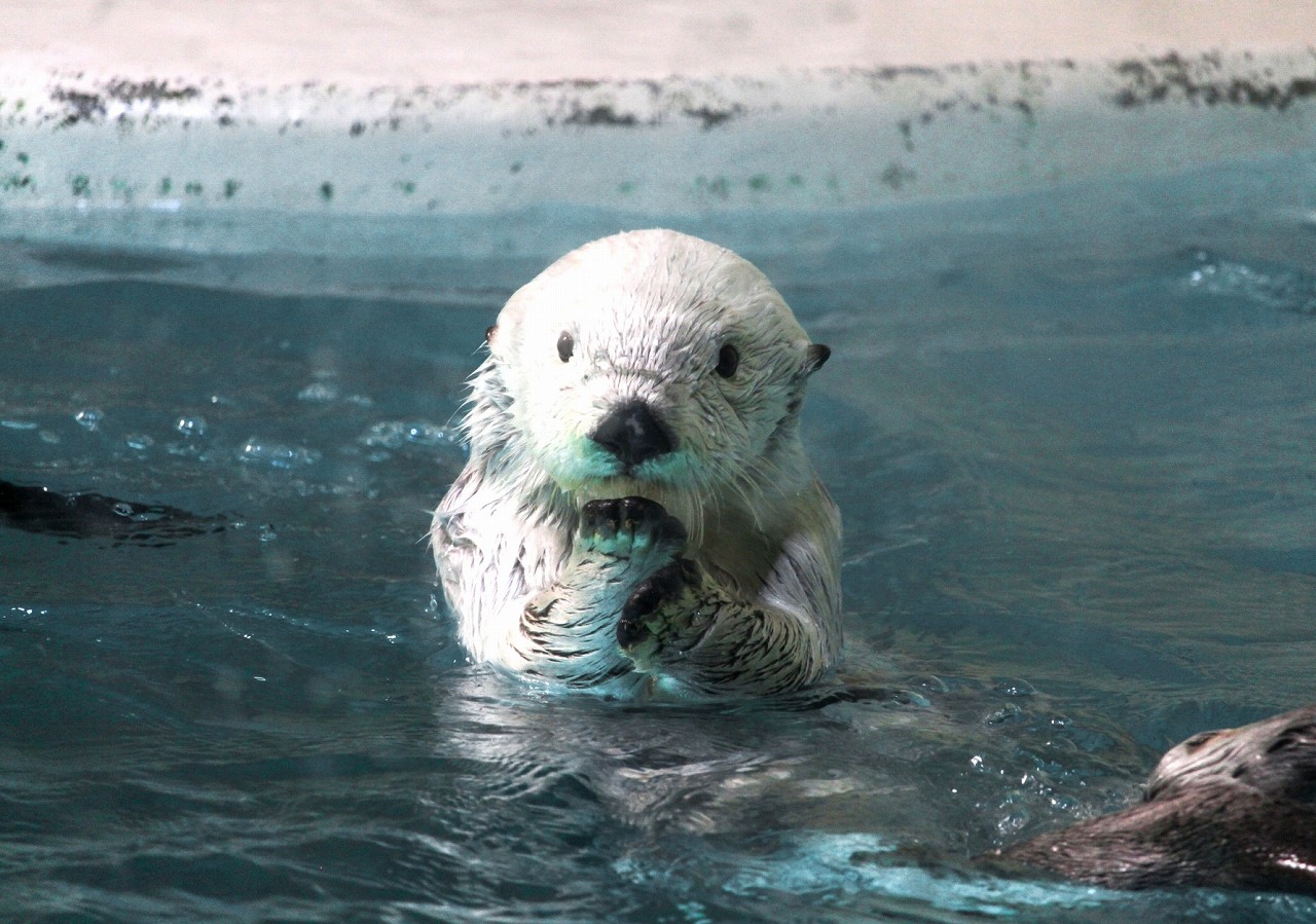 三重・多気&鳥羽を観光!VISONの美食と鳥羽水族館を巡る貸切バス日帰り社員旅行・団体旅行モデルコース