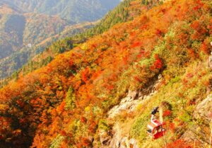 三重県の御在所ロープウェイは、秋の紅葉の名所である御在所を上空から眺めることができます。団体旅行でも人気の観光スポットです。