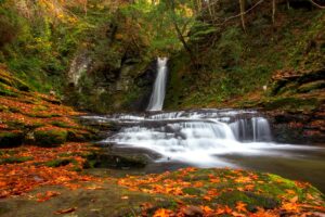 三重県の赤目四十八滝は、社員旅行・団体旅行でも人気の観光スポットです。千手滝までは徒歩約20分です。こちらの滝は約40分かかります。