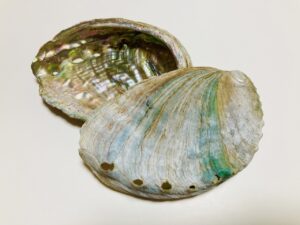 三重県ではアワビのほか、伊勢海老など海産物が特産です。魚の干物などをお土産に買われる団体旅行のお客様もいらっしゃいますよ。