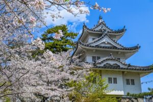 三重県の津城は、桜の名所です。団体旅行でちょっと立ち寄りも良いですね。