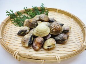 三重県桑名市は蛤の名産地です。貸切バスでの団体旅行でも蛤料理が人気です。